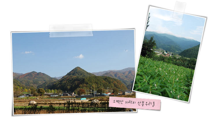 소백산 자락의 산봉우리들
